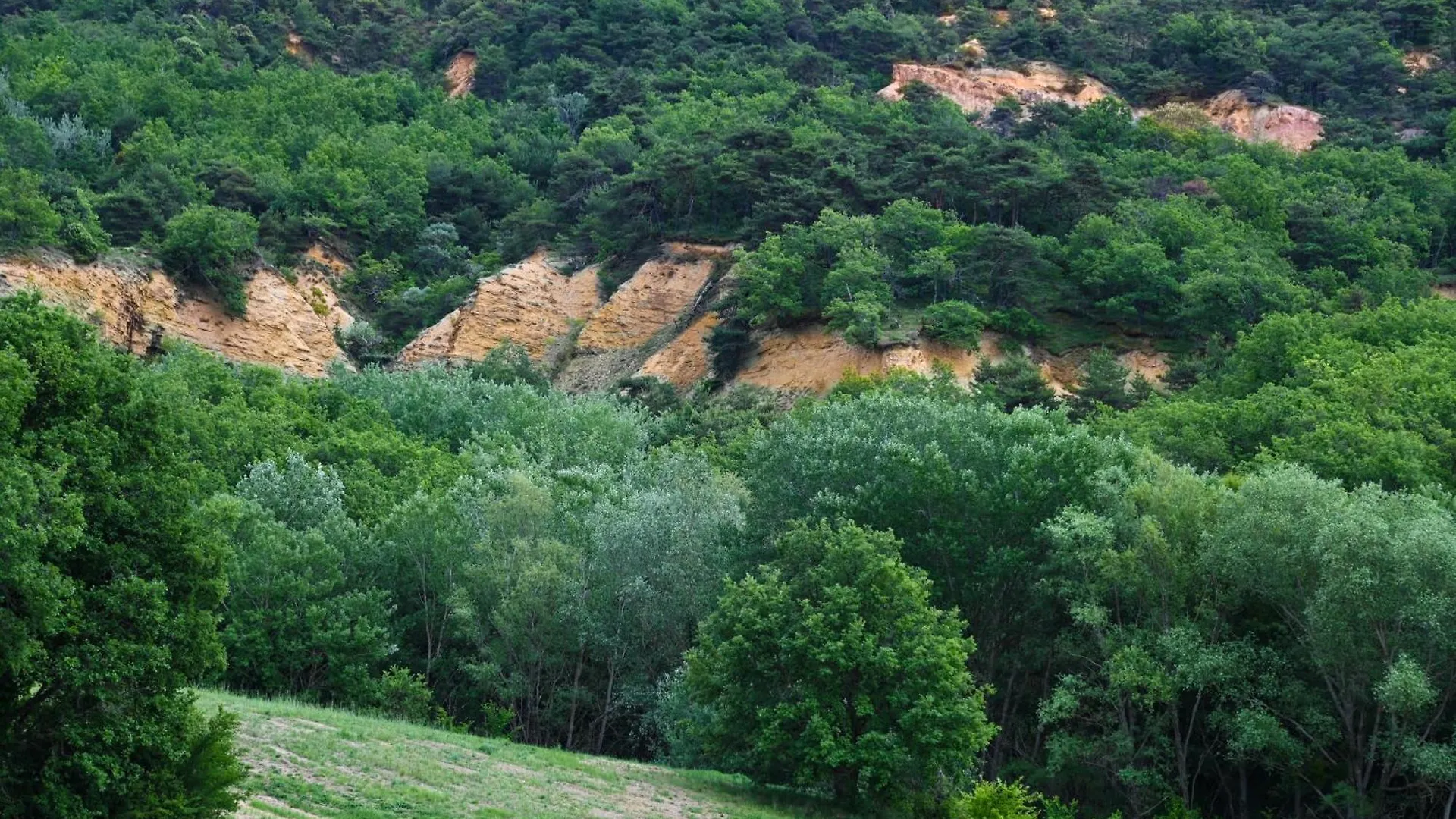 בית נופש Viens Propriete Au Calme En Pleine Nature Avec Jacuzzi צרפת
