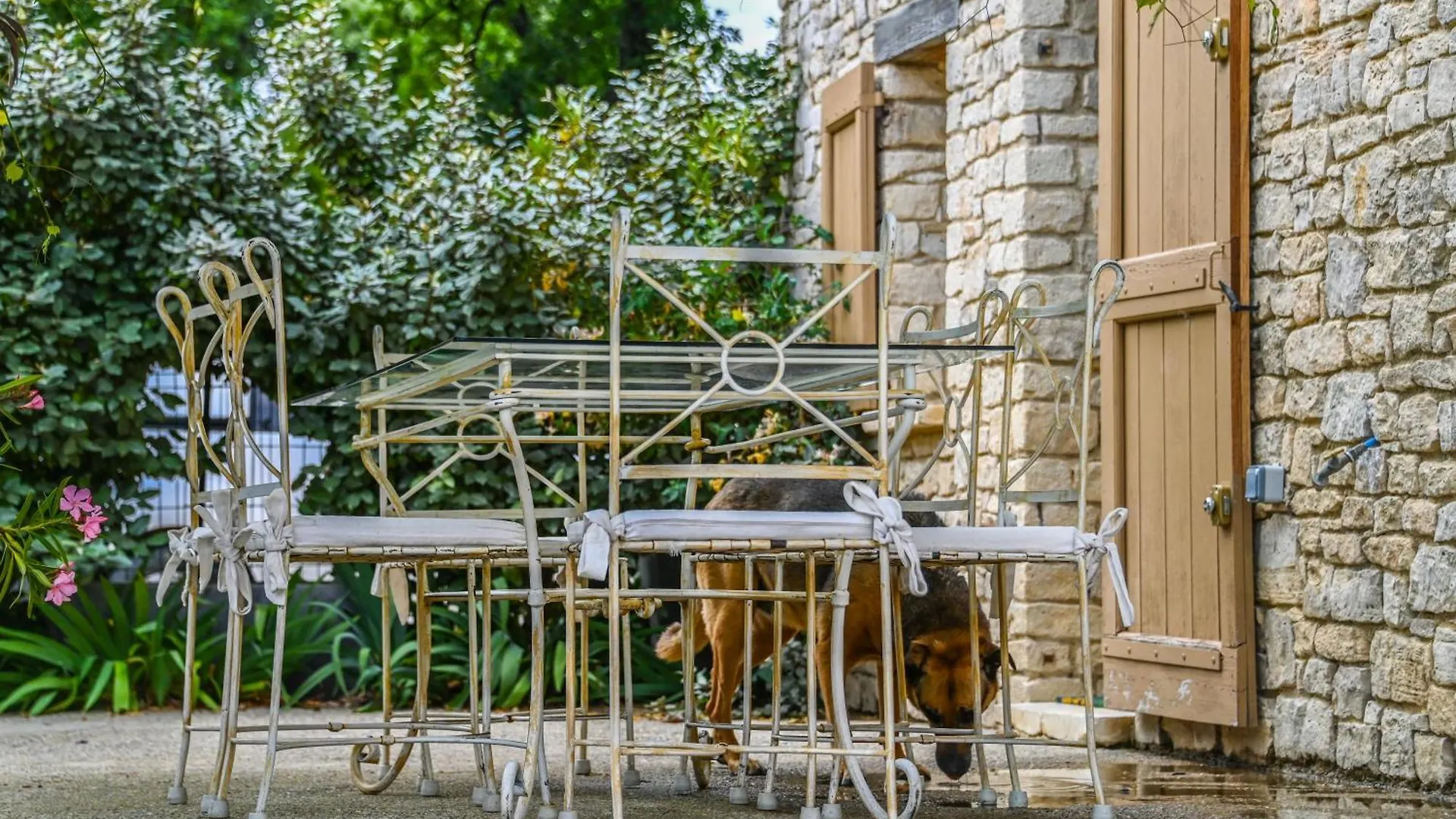Viens Propriete Au Calme En Pleine Nature Avec Jacuzzi בית נופש
